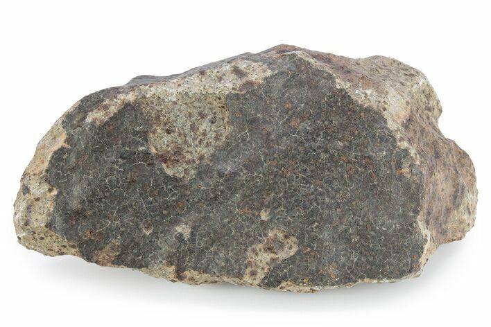 Chondrite Meteorite ( g) - Western Sahara Desert #285381